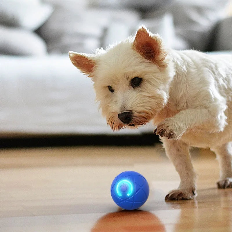 Smart AI PET toys