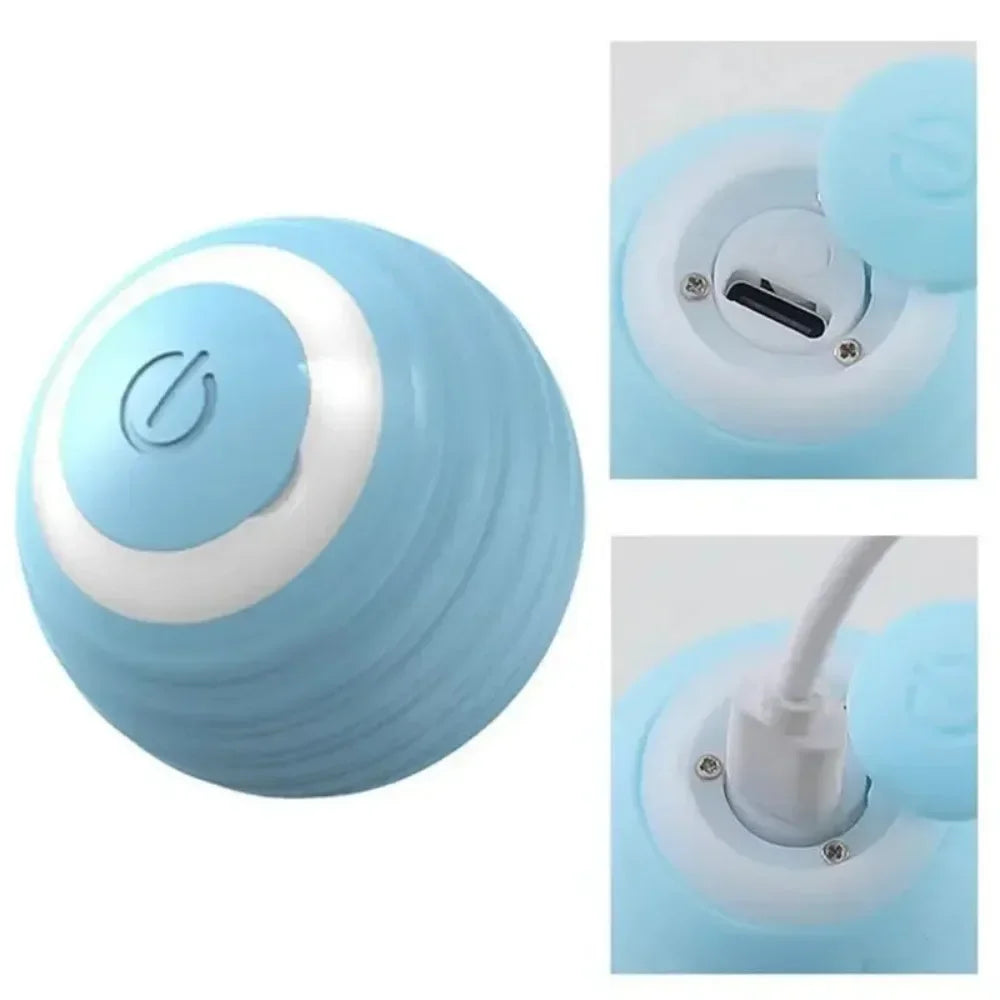 Interactive Cat Toy Ball Roll Pet Things Stuff Products Offer Supplies Games Kitten Accessories Katzen Gadgets Goods Articles