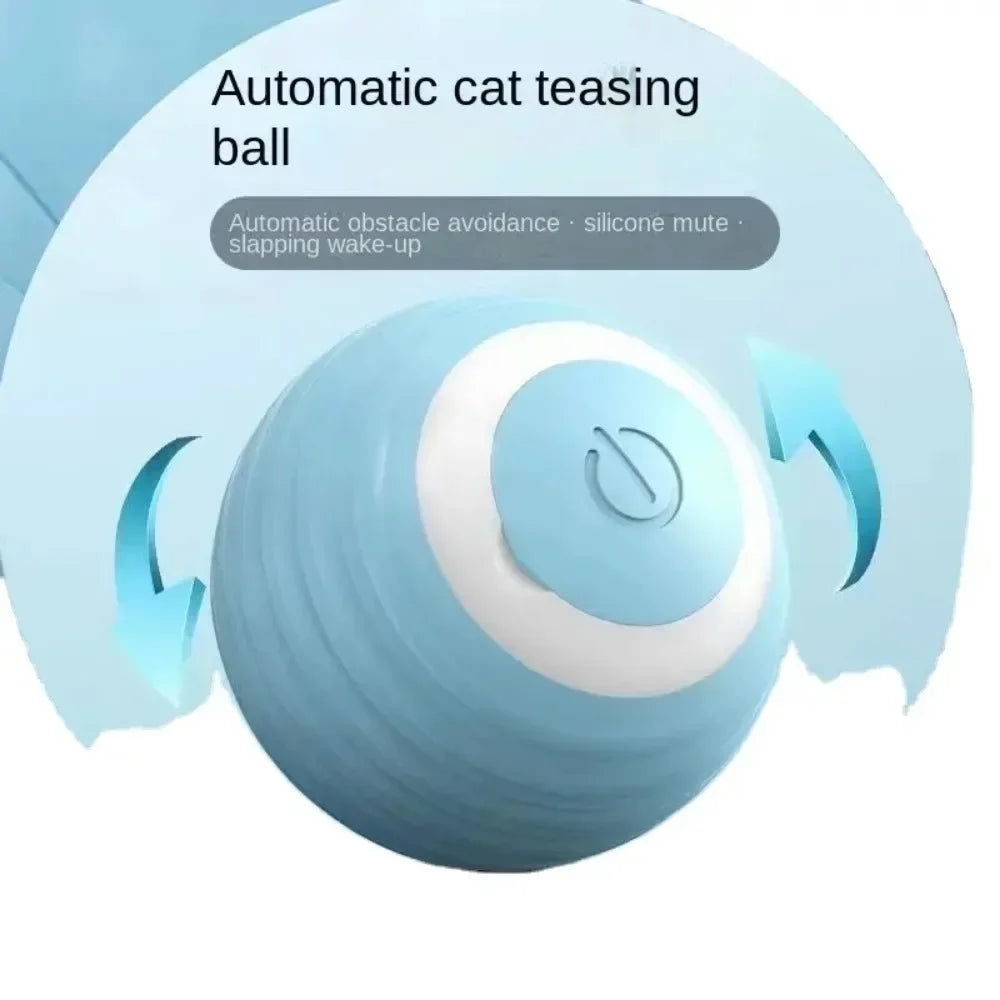 Interactive Cat Toy Ball Roll Pet Things Stuff Products Offer Supplies Games Kitten Accessories Katzen Gadgets Goods Articles