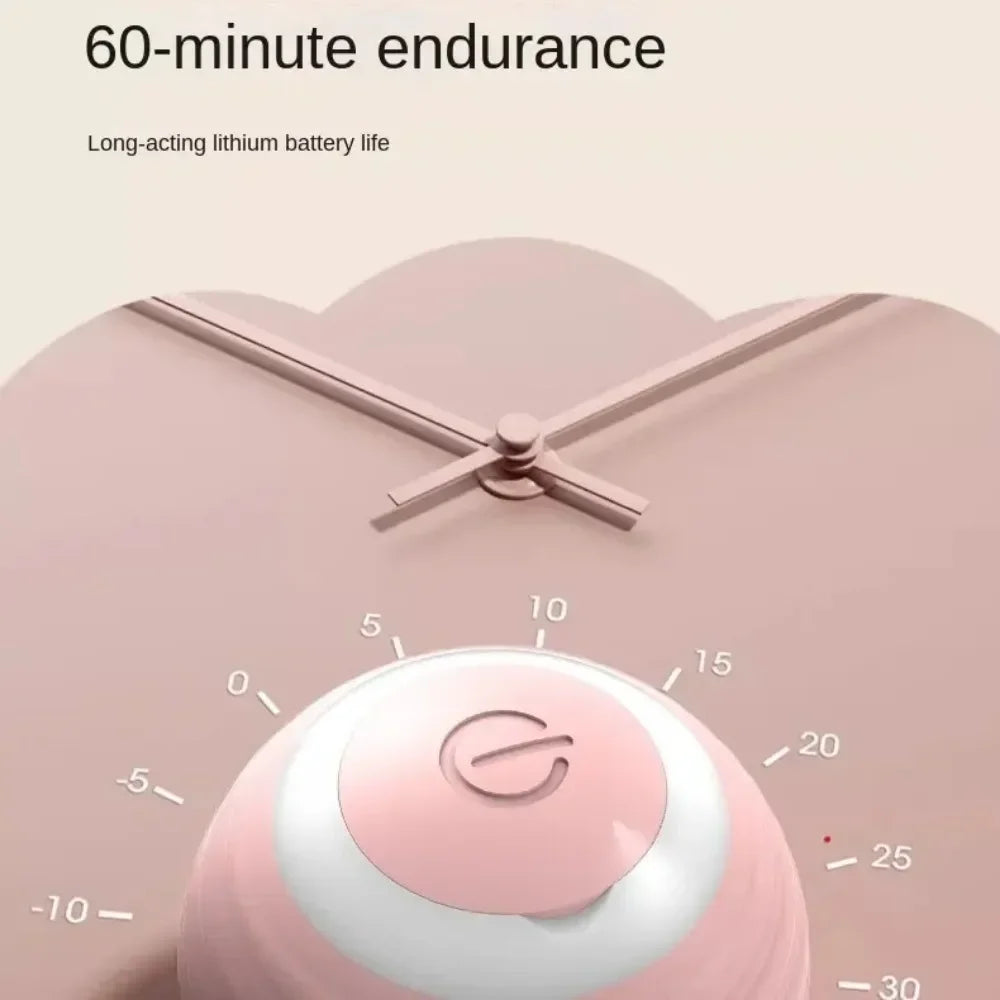 Interactive Cat Toy Ball Roll Pet Things Stuff Products Offer Supplies Games Kitten Accessories Katzen Gadgets Goods Articles