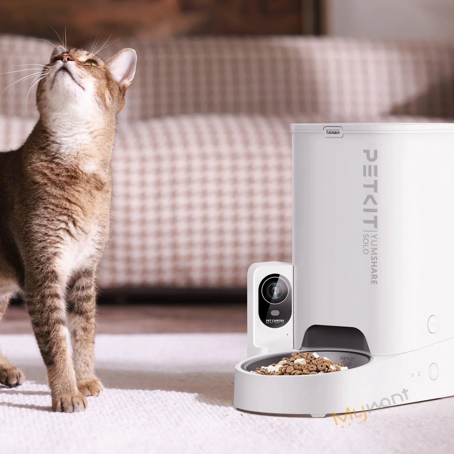 2025 PETKIT YumShare SOLO AI Pet Feeder - Remote Monitoring Camera